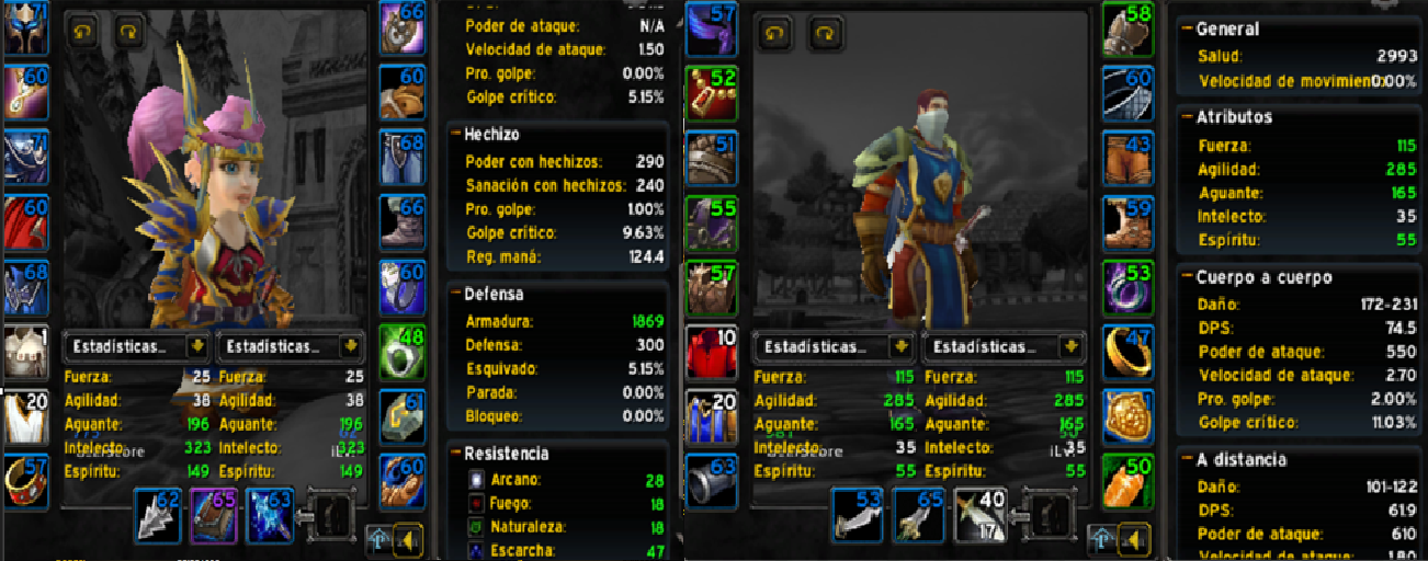 Gnome female mage nightslayer 17