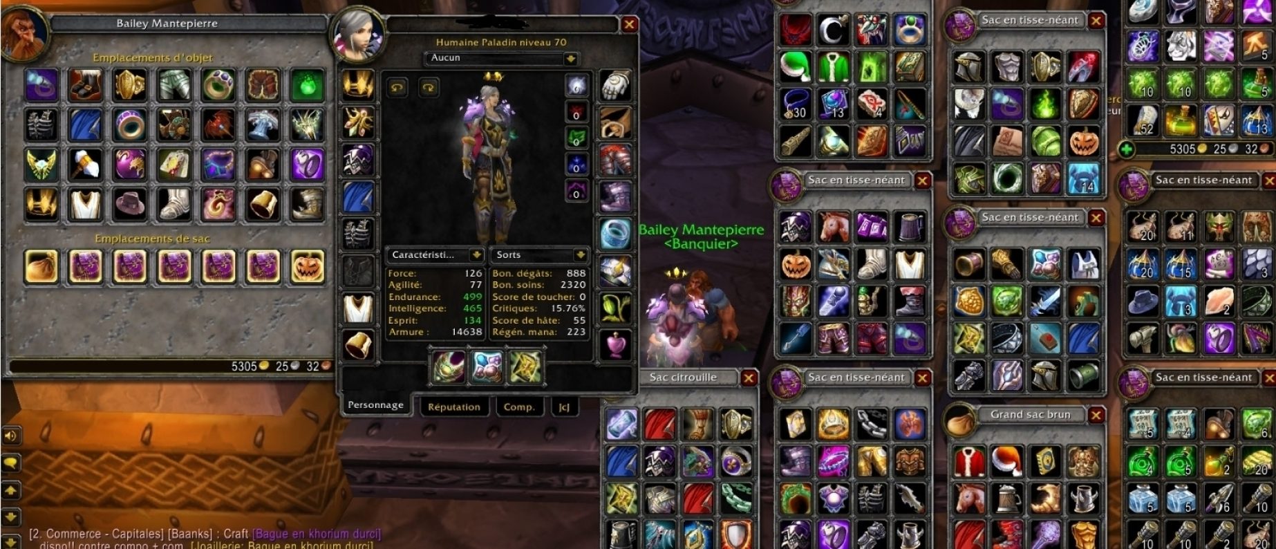 Human female paladin auberdine