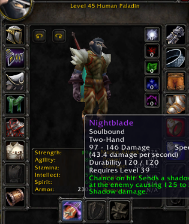 Human male paladin everlook 2
