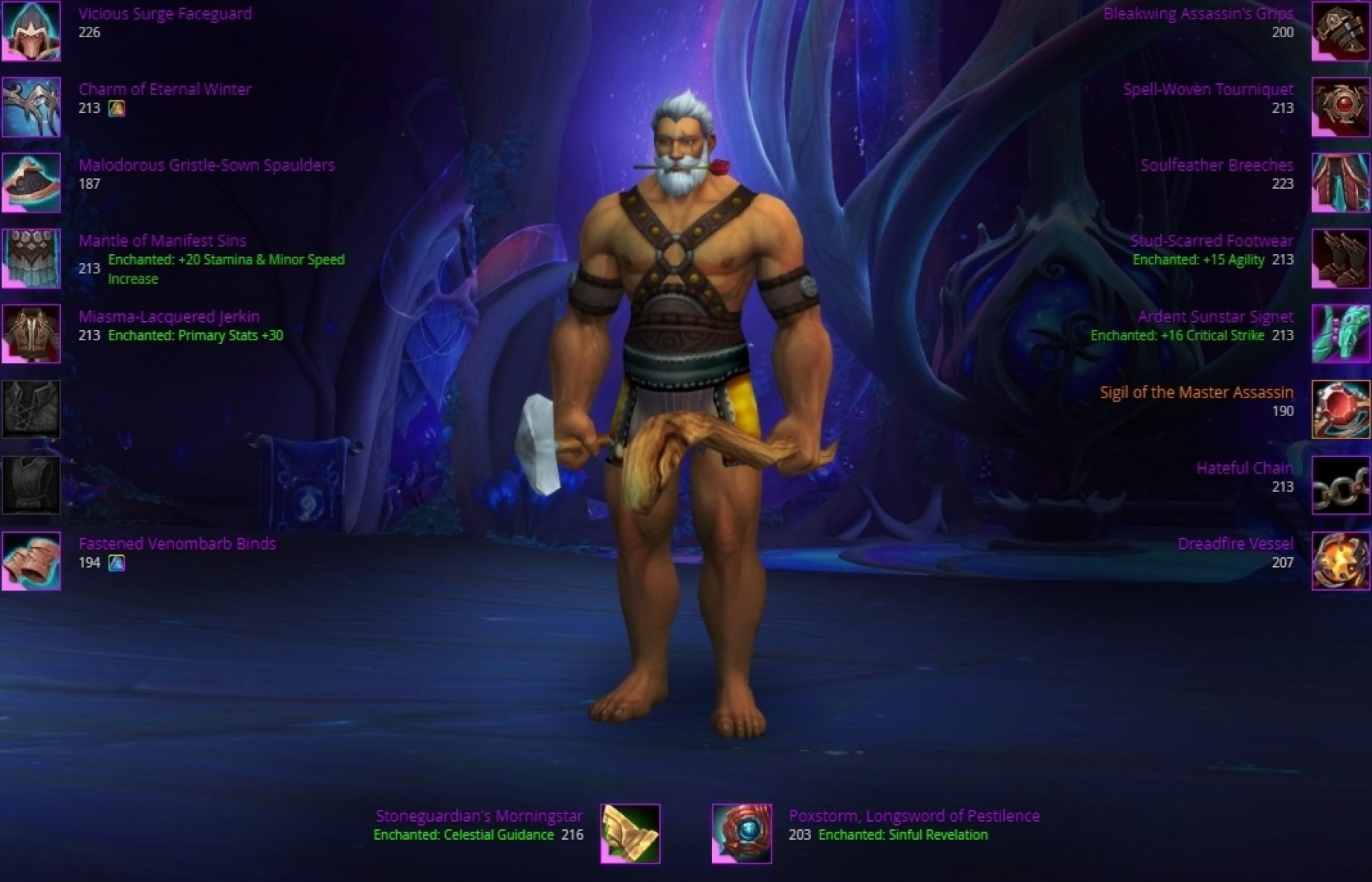 Human male rogue the maelstrom